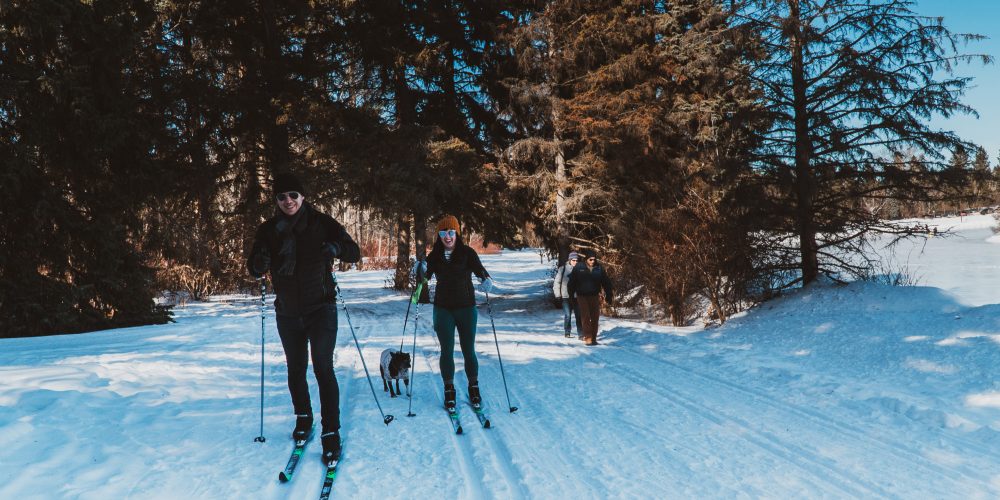Guide to CrossCountry Skiing in Edmonton Explore Edmonton