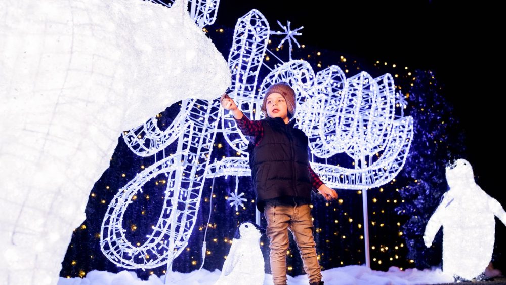 Things To Do in December in Edmonton Explore Edmonton