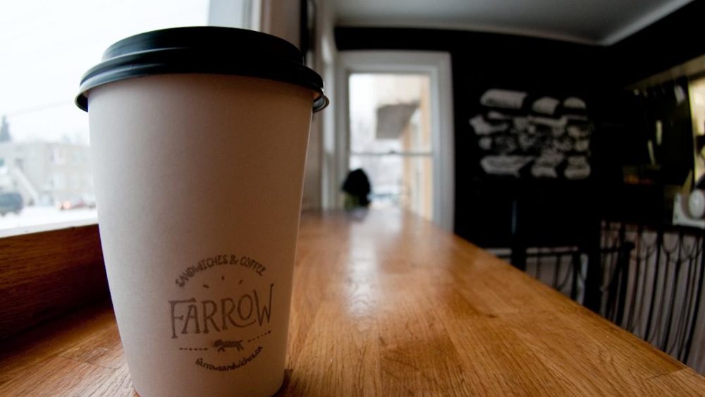 48 Hours in Edmonton Explore Edmonton