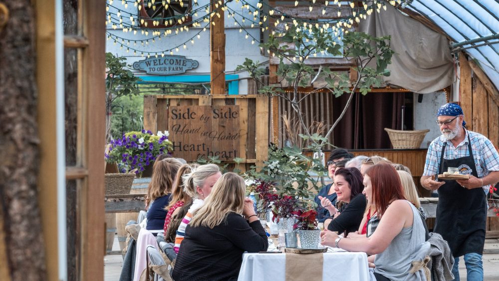 Contact Us Explore Edmonton   Prairie Gardens A Long Table Dinner Inside Of The Greenhouse 