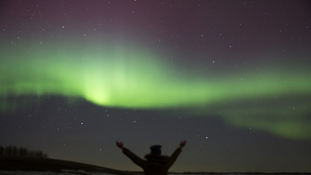 Guide to Snowshoeing in Edmonton Explore Edmonton