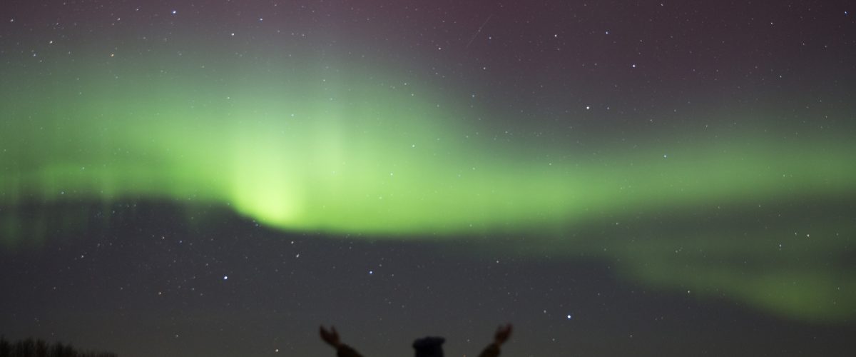 Snowshoe and Stargaze Explore Edmonton
