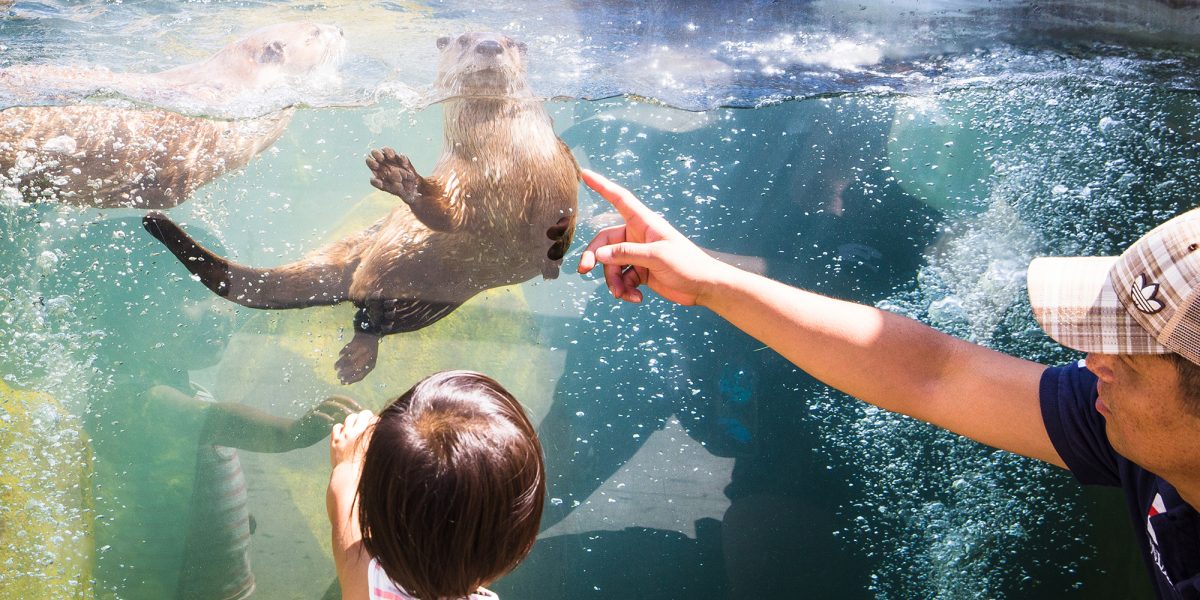 Edmonton Valley Zoo | Explore Edmonton