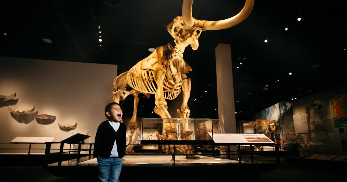 Plan your visit to Edmonton's Royal Alberta Museum | Explore Edmonton