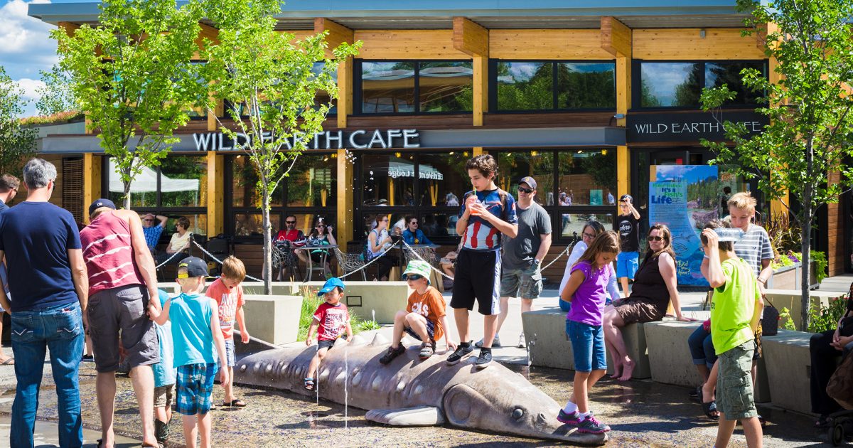 Really Radical Reptiles Explore Edmonton Explore Edmonton