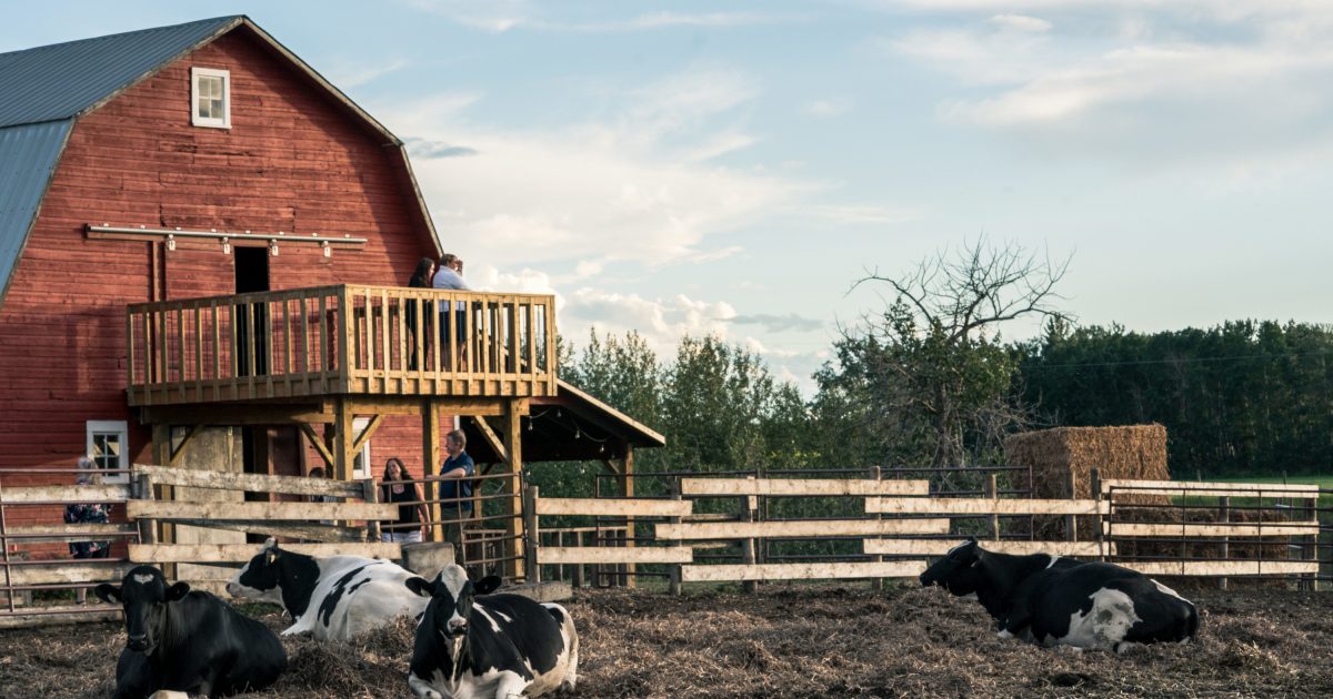 Farm to Table Dinner Explore Edmonton Explore Edmonton