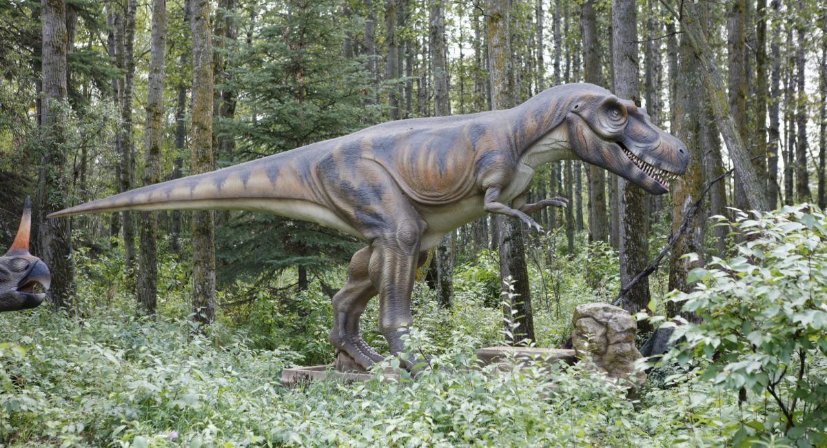 Jurassic Forest | Explore Edmonton