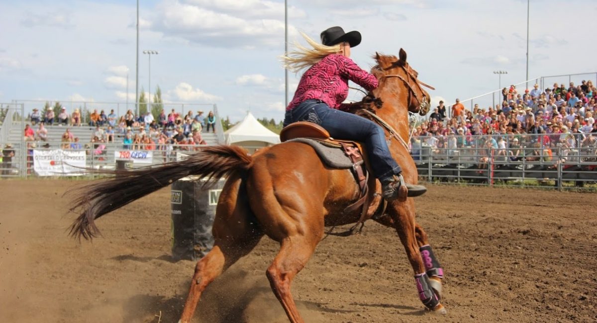 St. Albert Kinsmen Rainmaker Rodeo & Exhibition Explore Edmonton Explore Edmonton