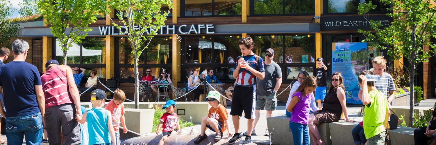 Really Radical Reptiles Explore Edmonton Explore Edmonton