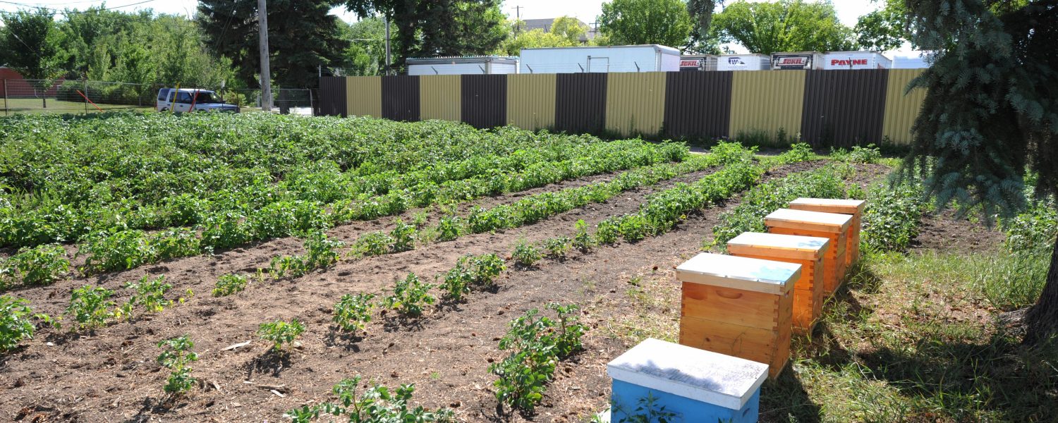 Edmonton Urban Farm Sponsor Us Explore Edmonton