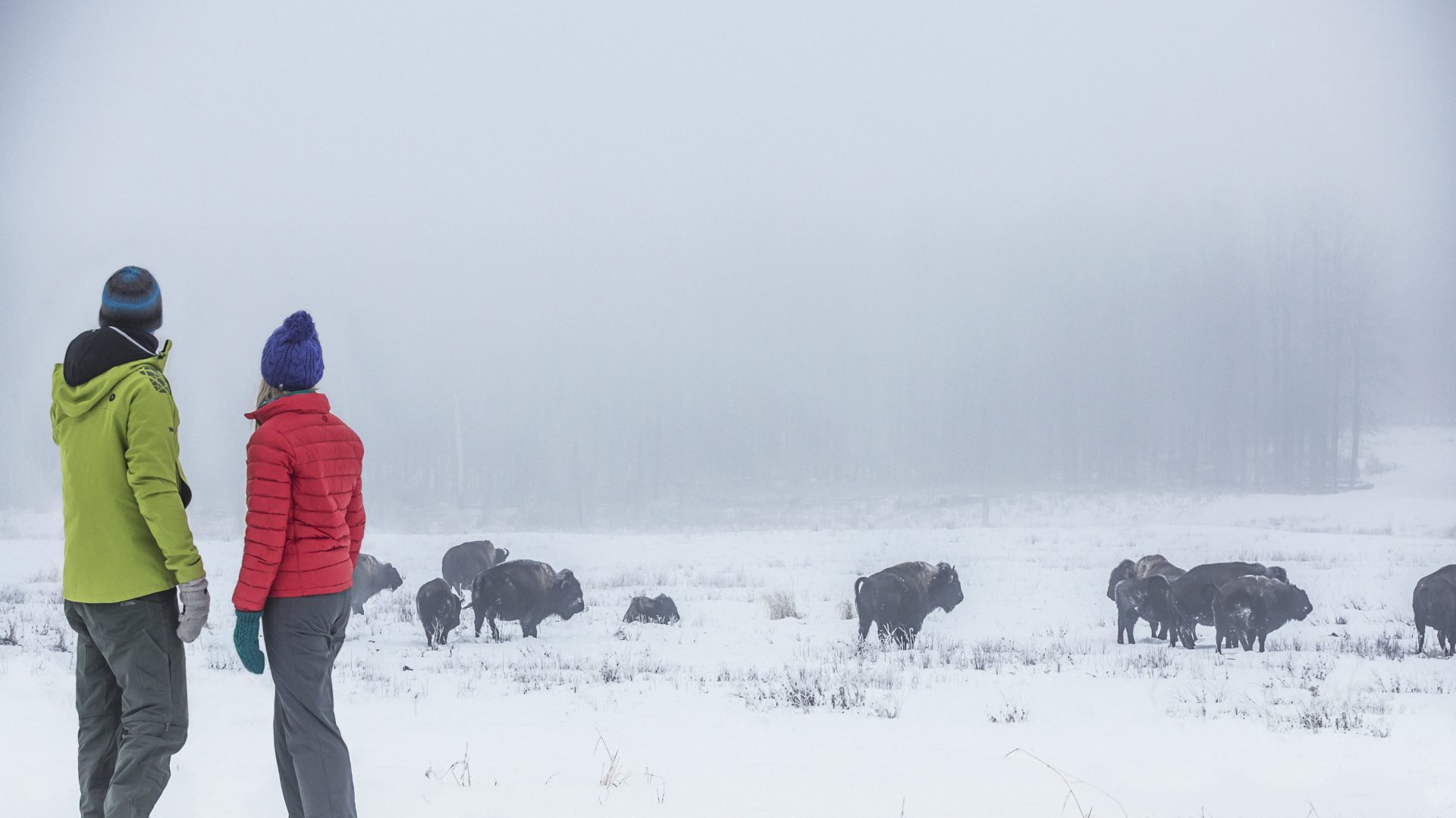 Free Admission Day At Elk Island National Park Explore Edmonton