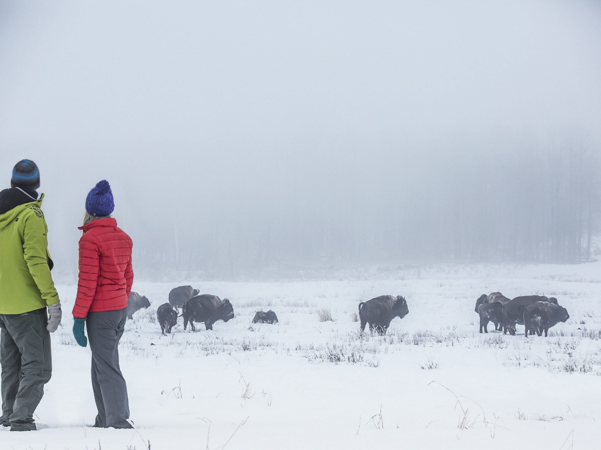 Free Admission Day At Elk Island National Park Explore Edmonton