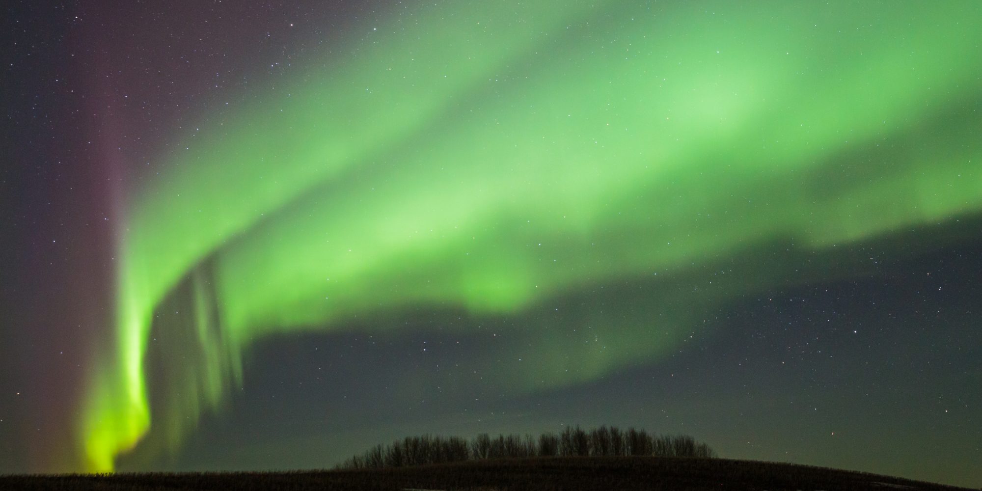 Snowshoe and Stargaze Explore Edmonton Explore Edmonton