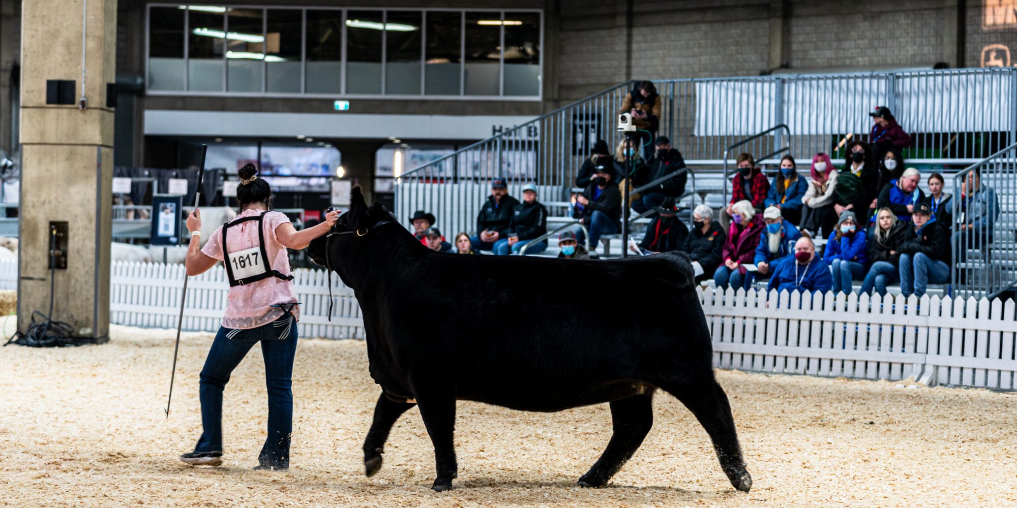 Why Volunteer? Explore Edmonton