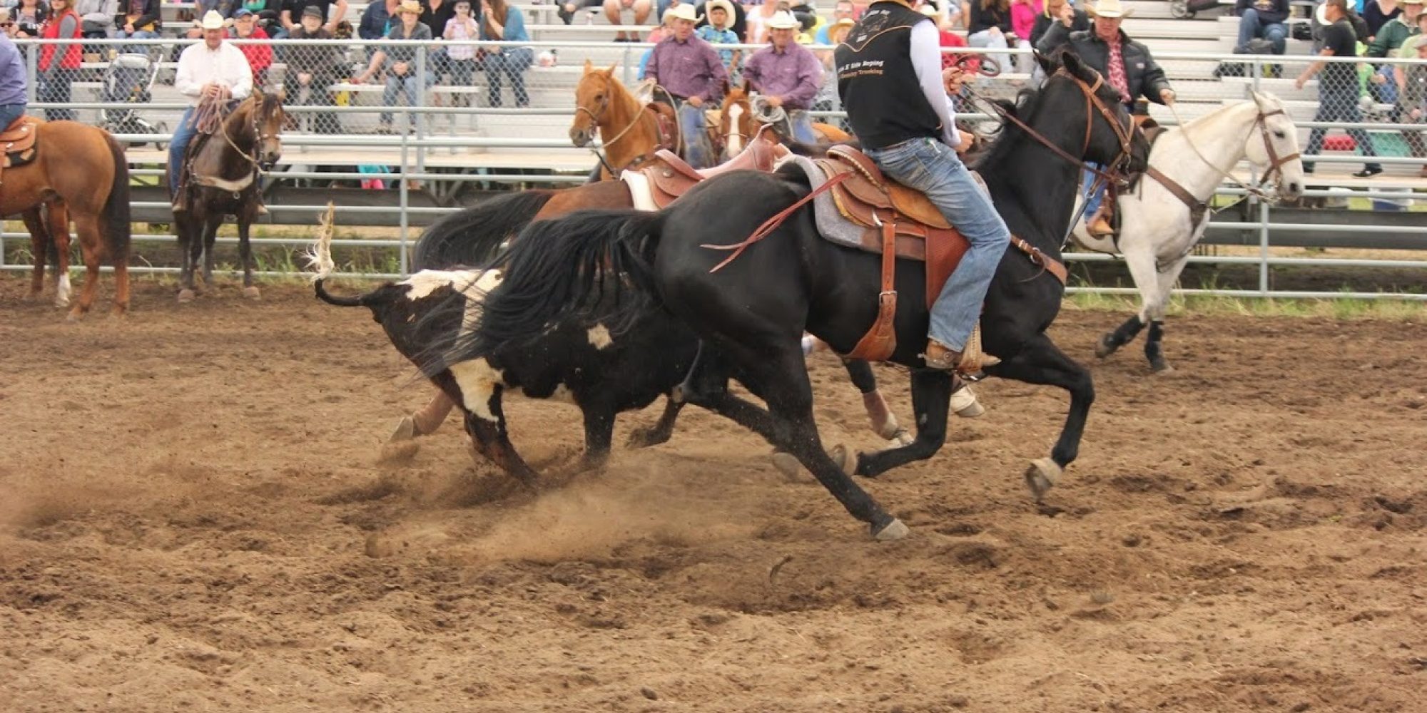St. Albert Kinsmen Rainmaker Rodeo & Exhibition Explore Edmonton Explore Edmonton