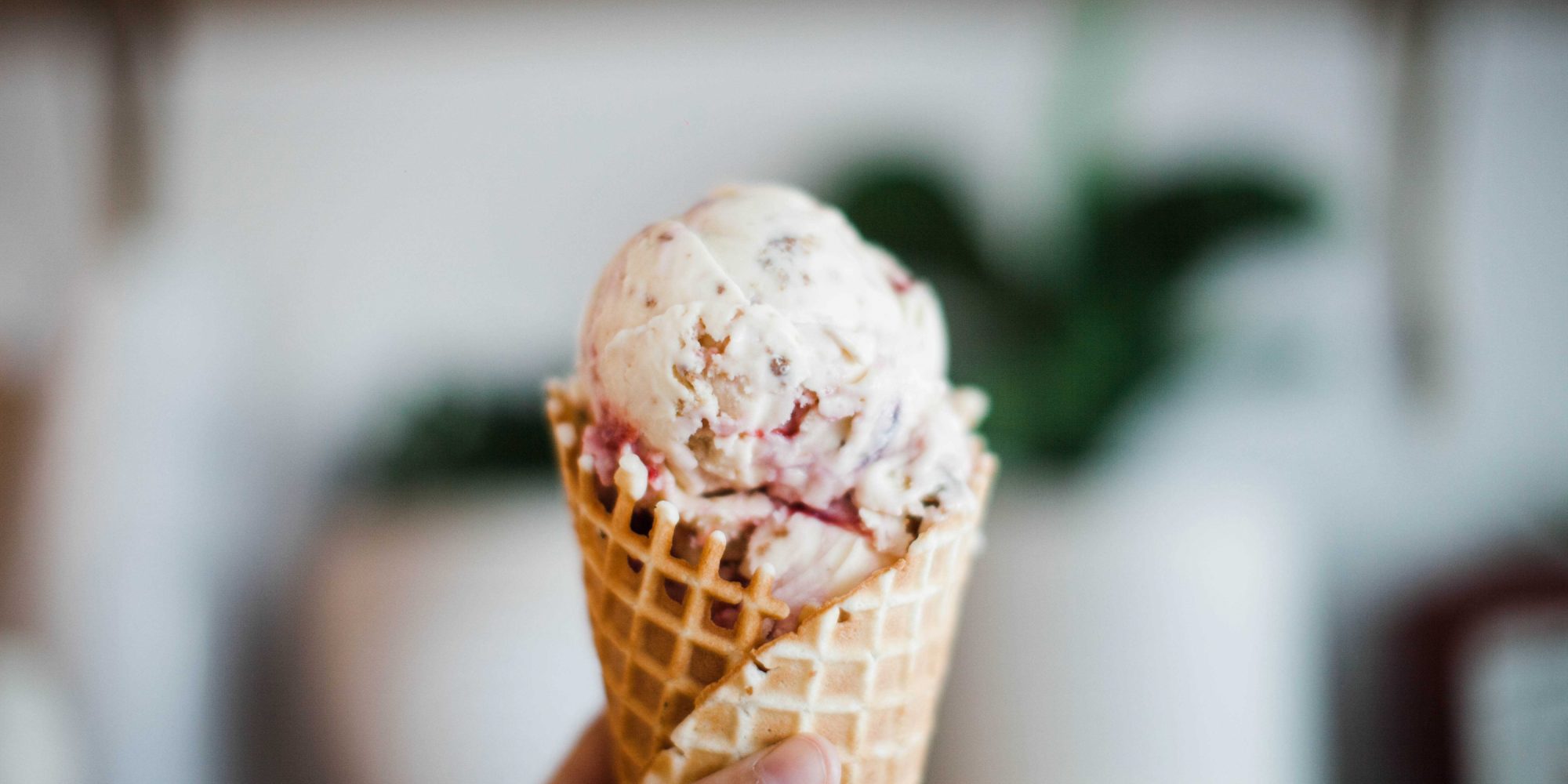 Kind Ice Cream Explore Edmonton