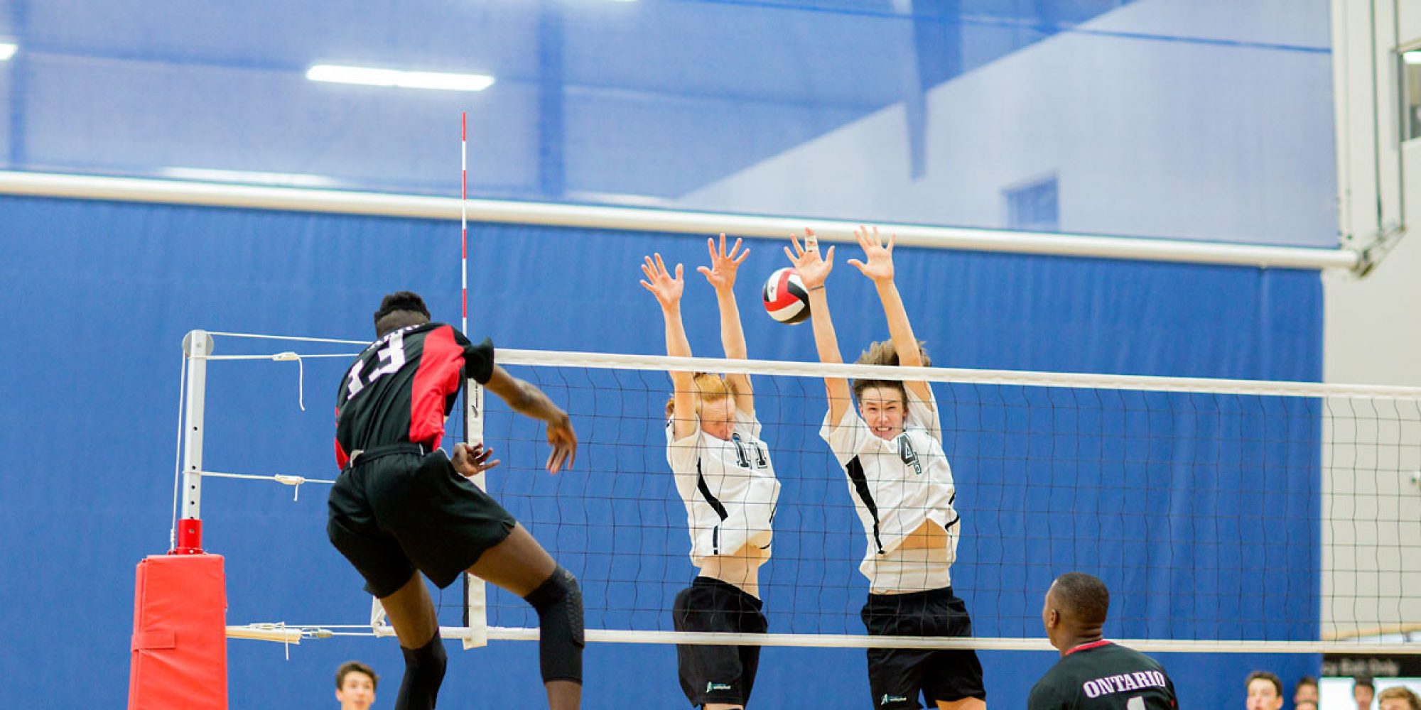 2022 Volleyball Alberta Premier and Provincial Championships Explore