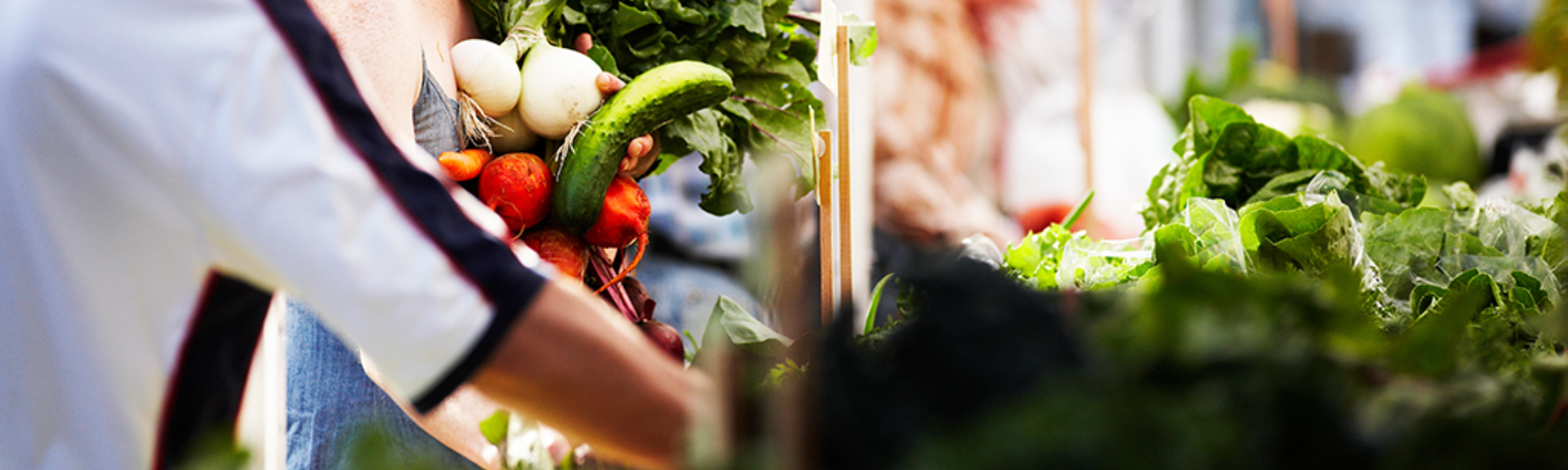 farmers-markets-in-edmonton-explore-edmonton