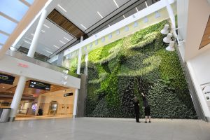 People admire the living wall at EIA