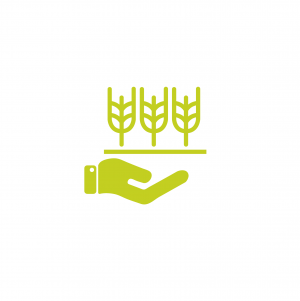 Edmonton Vertical Sectors Agriculture