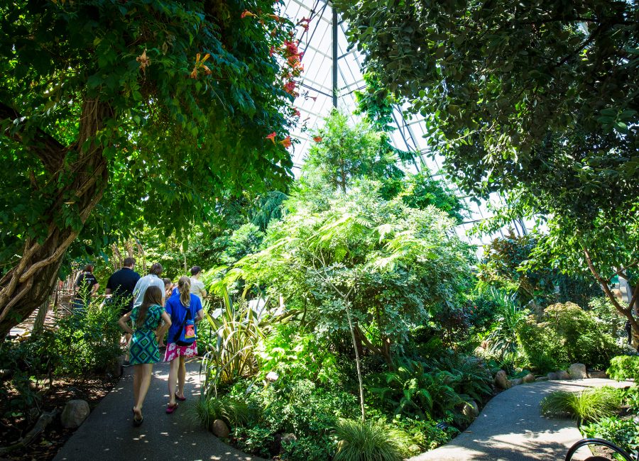 Muttart Conservatory Explore Edmonton