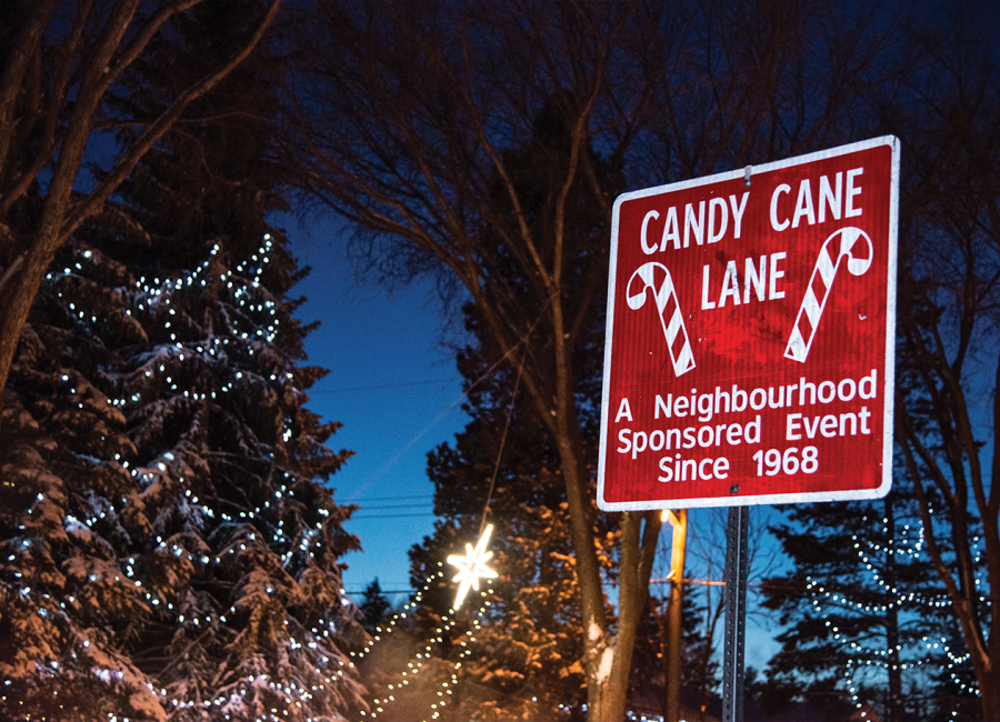 Candy Cane Lane Reviews 2024 Loree Ranique Candy Cane Lane Reviews 2024 Loree Ranique