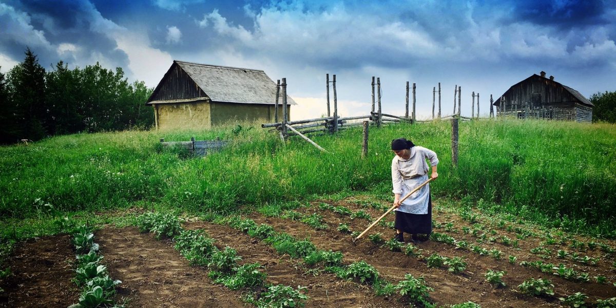 Ukrainian Cultural Heritage Village Explore Edmonton