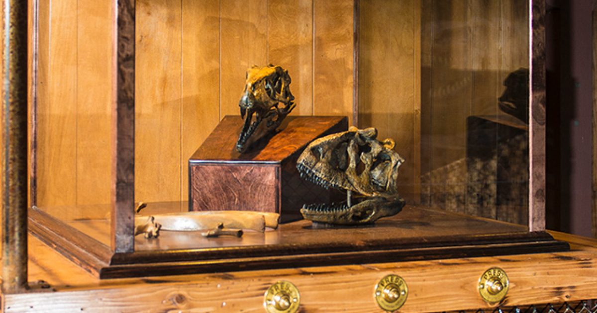 telus world of science dinosaur exhibit