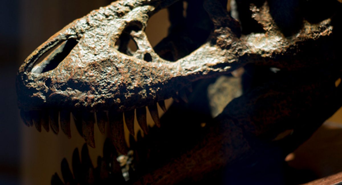 telus world of science dinosaur exhibit