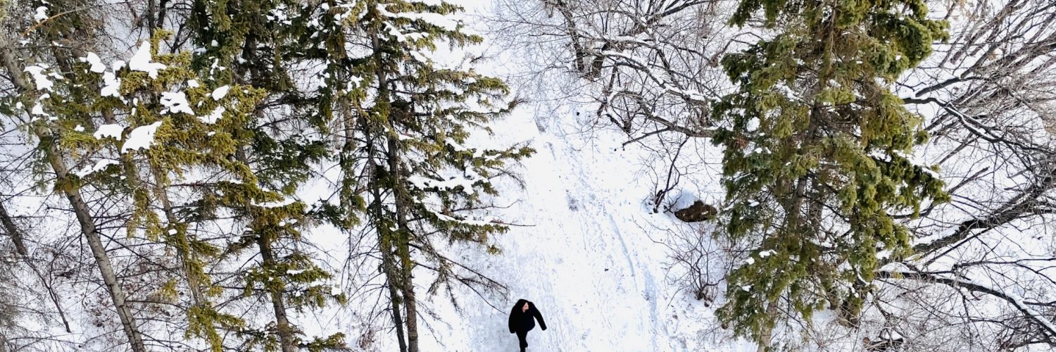 North Saskatchewan River Valley Explore Edmonton