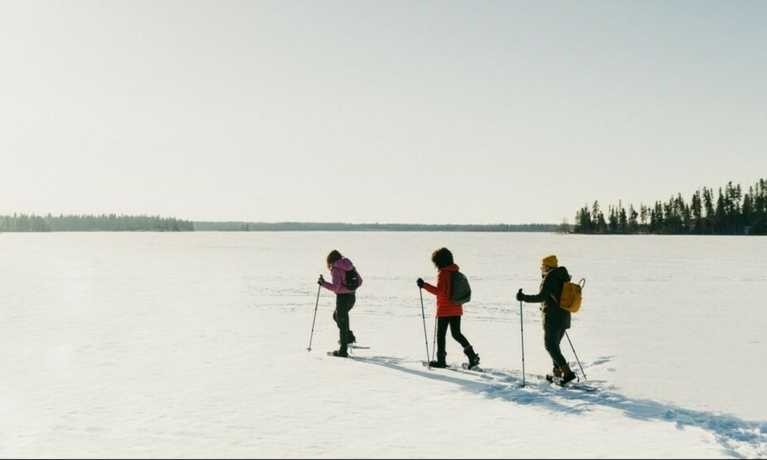 Guide to Snowshoeing in Edmonton Explore Edmonton