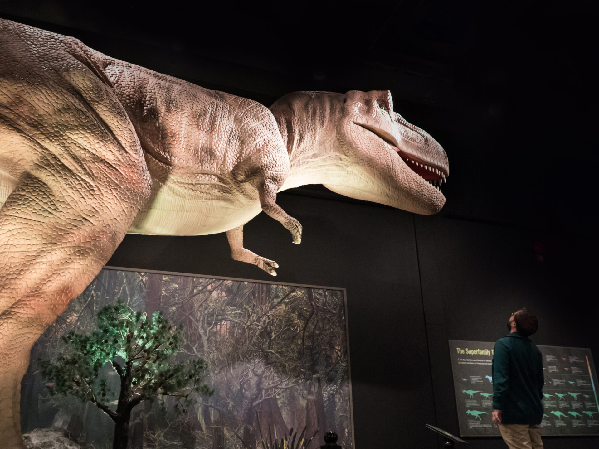 Dinosaurs Unearthed Down To The Bone Explore Edmonton Explore