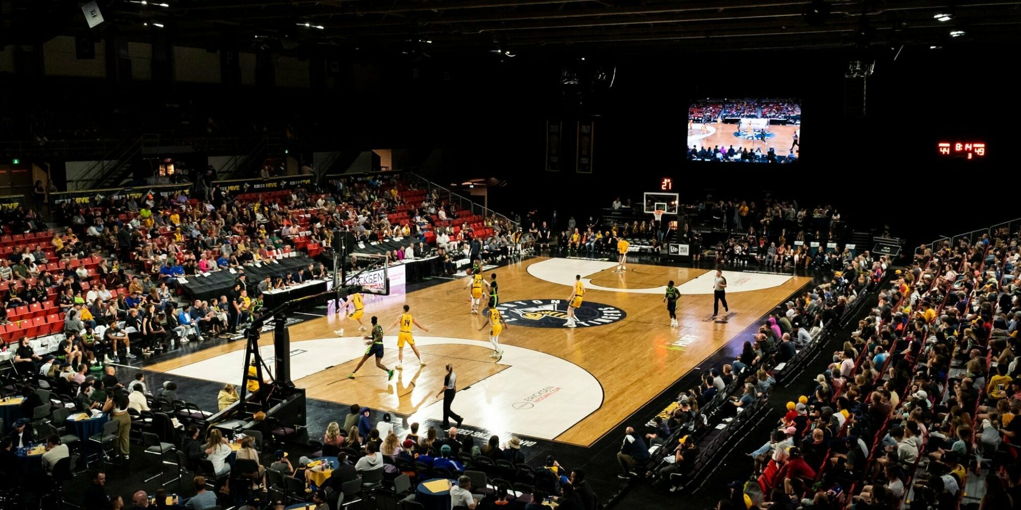 the-edmonton-stingers-edmonton-basketball-explore-edmonton