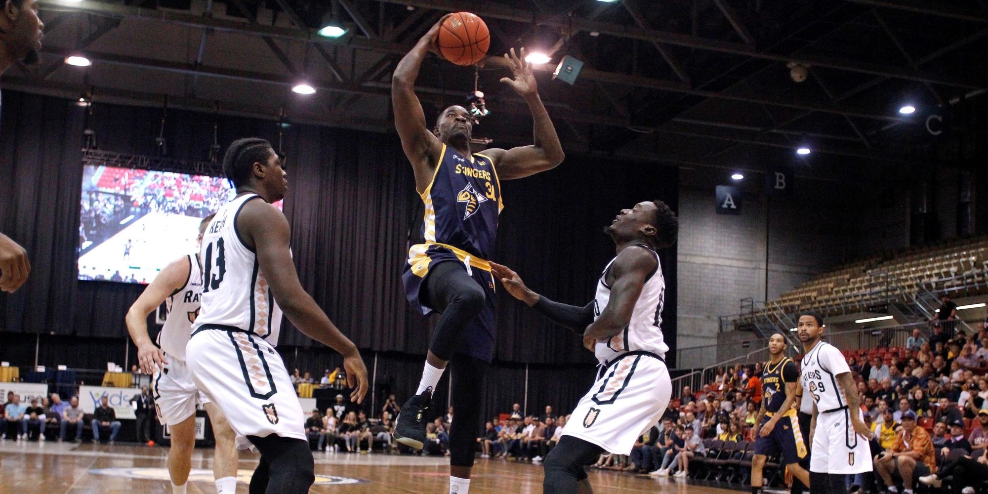 The Edmonton Stingers Edmonton Basketball Explore Edmonton