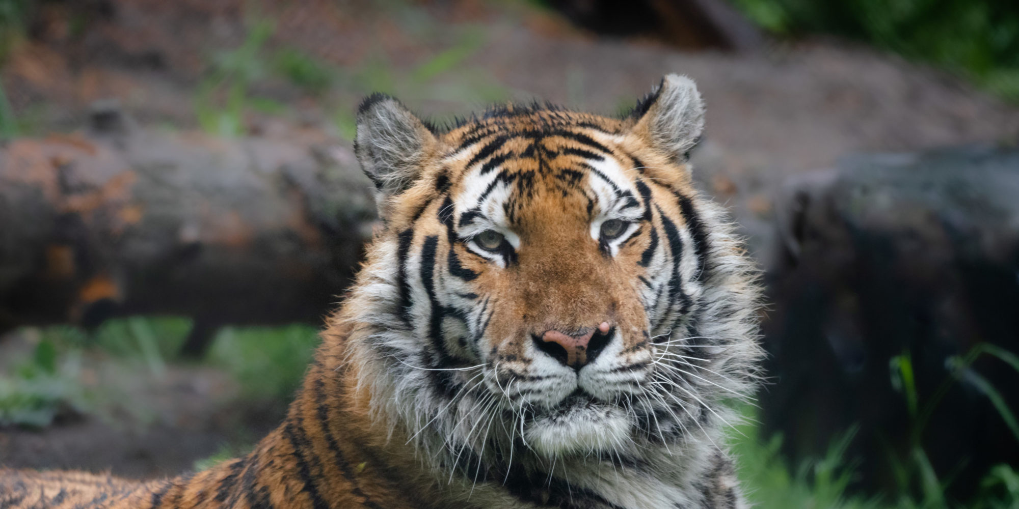 Edmonton Valley Zoo Explore Edmonton
