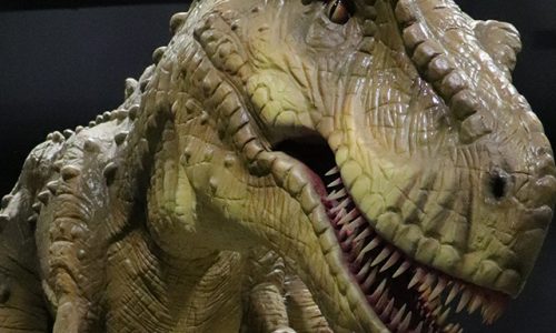 dinosaur exhibit telus world of science