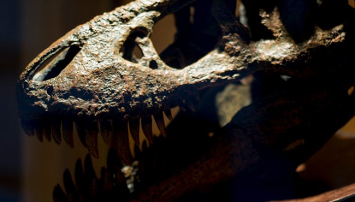 dinosaur exhibit telus world of science