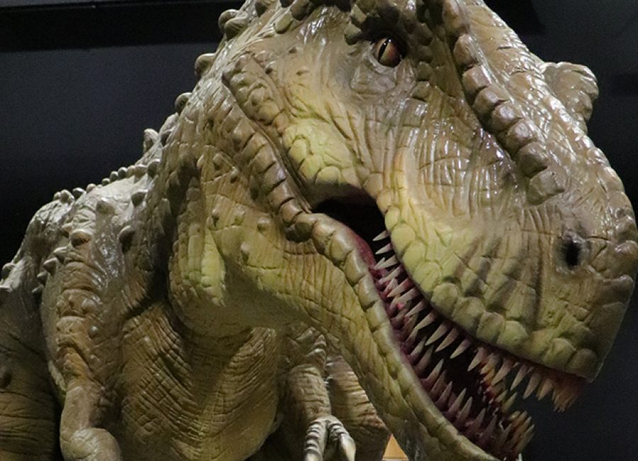 telus world of science dinosaur exhibit