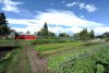 The red barn at Edmonton Urban Farm.