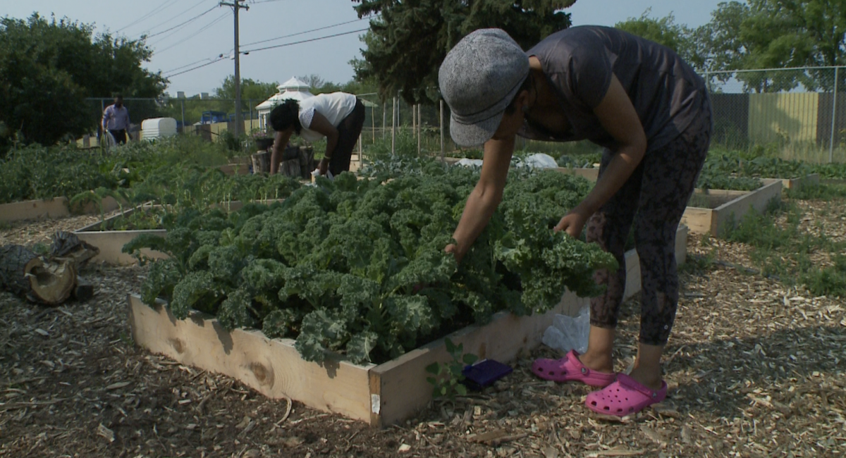 Edmonton Urban Farm Explore Edmonton