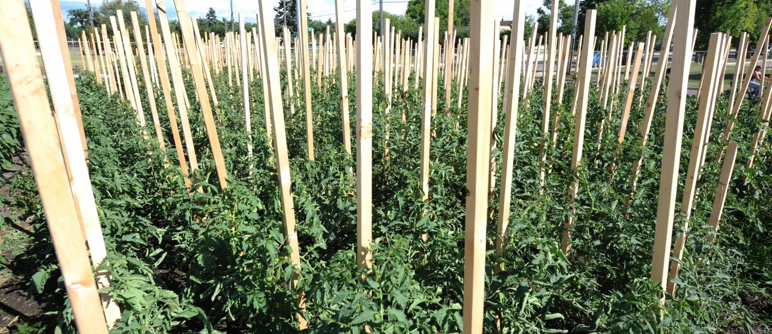 Edmonton Urban Farm Explore Edmonton