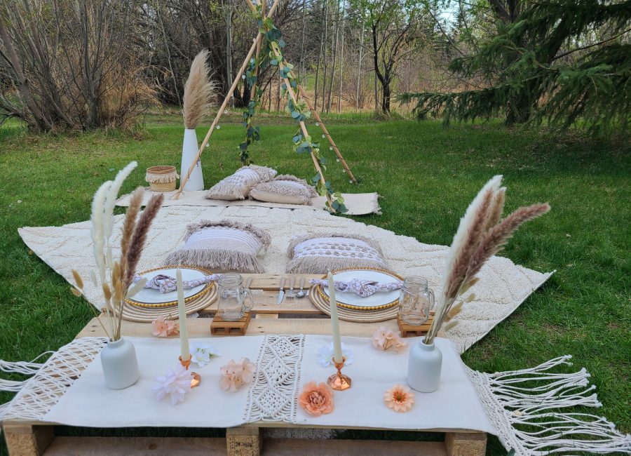 A Picnic Affair Explore Edmonton