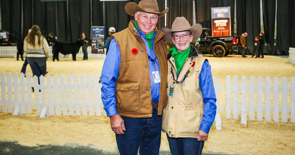 Already A Volunteer? Explore Edmonton