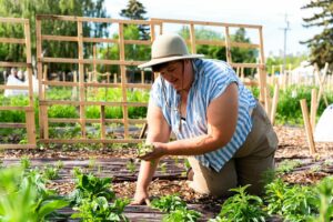 A person weeds the garden.